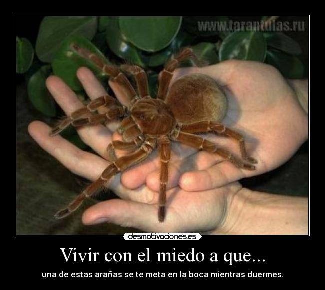 Vivir con el miedo a que... -