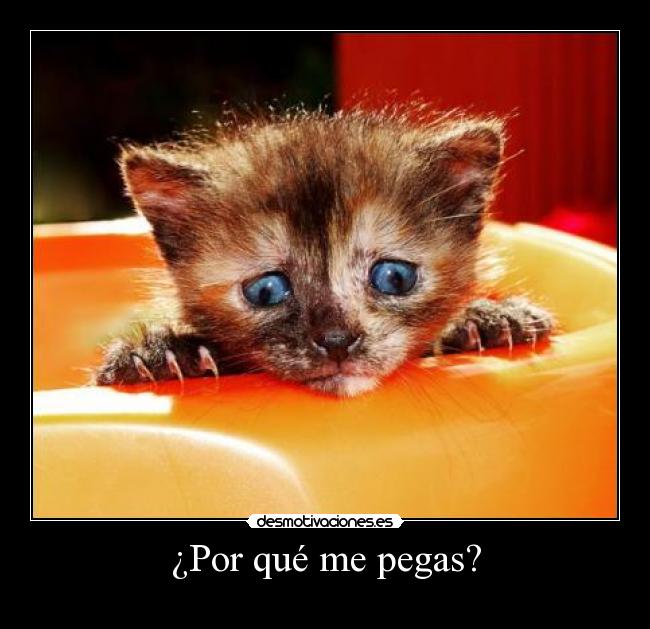 ¿Por qué me pegas? -  