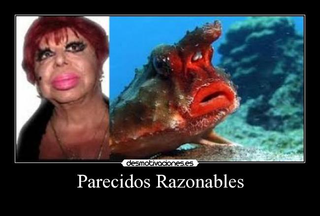 Parecidos Razonables - 