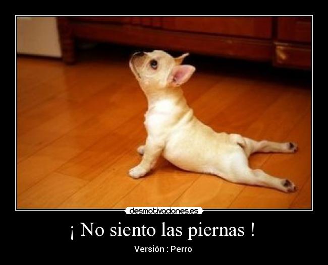 ¡ No siento las piernas !  - Versión : Perro 