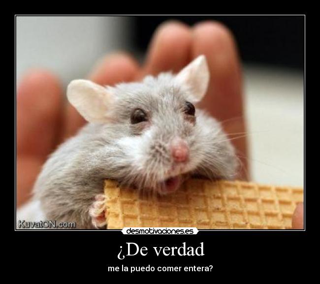 ¿De verdad - 