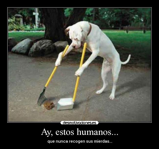 Ay, estos humanos... -