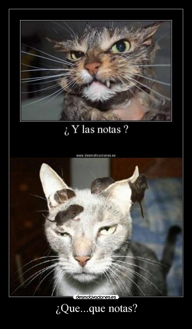 ¿Que...que notas? -