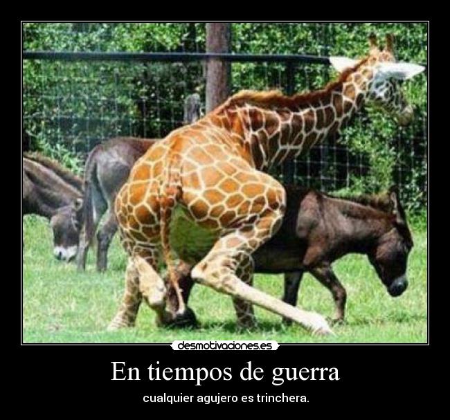 En tiempos de guerra -