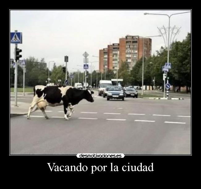 Vacando por la ciudad - 