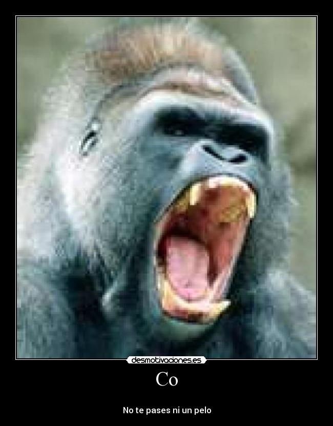 carteles vota positivo desmotivaciones