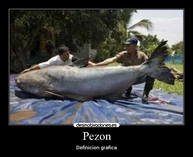 Pezon - 
