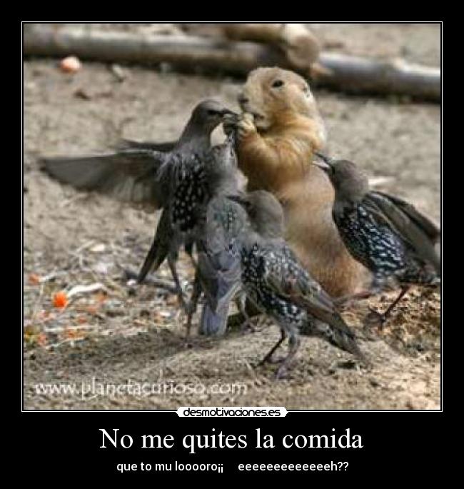 No me quites la comida - 