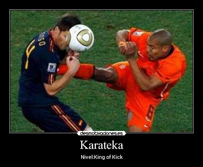 carteles karateka desmotivaciones