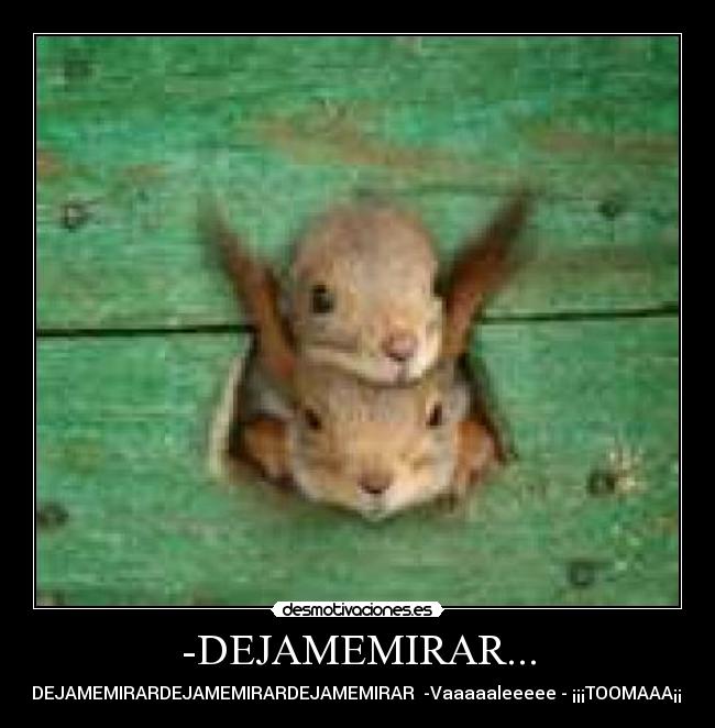 -DEJAMEMIRAR... - DEJAMEMIRARDEJAMEMIRARDEJAMEMIRAR  -Vaaaaaleeeee - ¡¡¡TOOMAAA¡¡¡