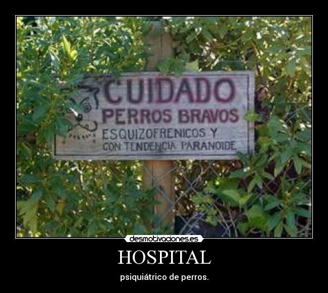 HOSPITAL - 