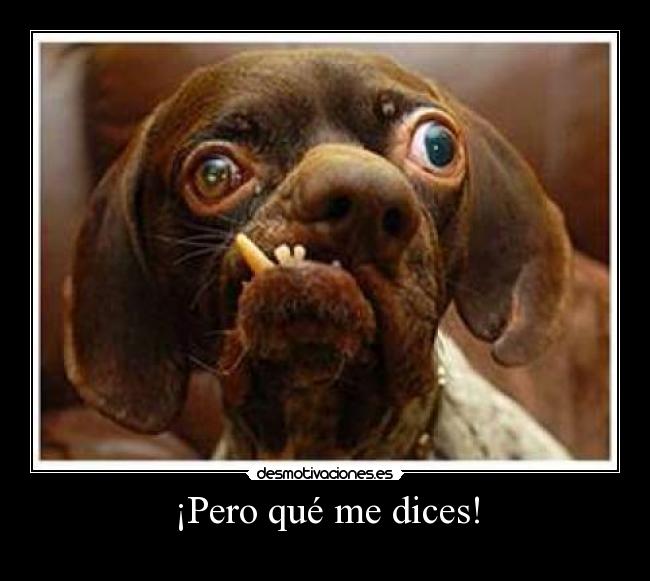 ¡Pero qué me dices! - 