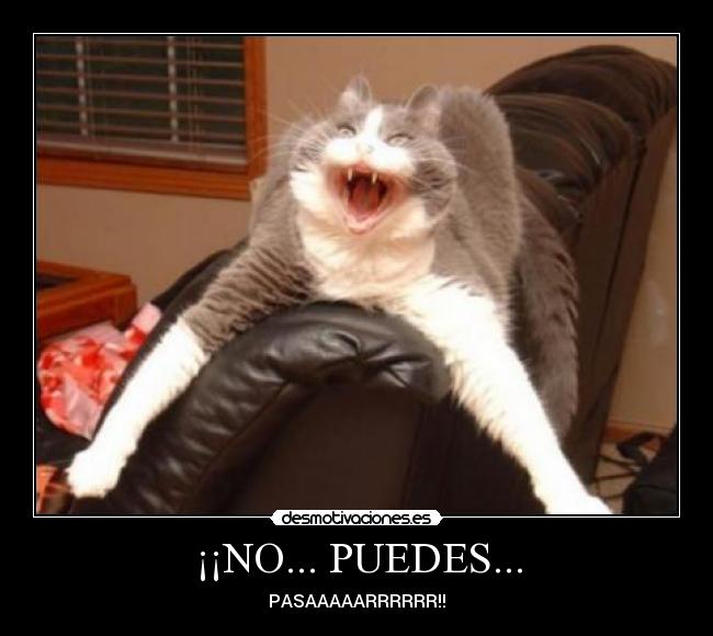 ¡¡NO... PUEDES... - PASAAAAARRRRRR!!