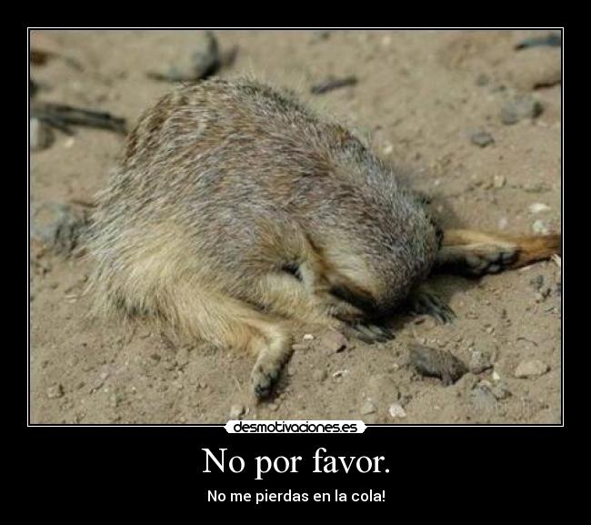 No por favor. - 