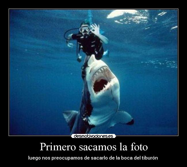 Primero sacamos la foto - luego nos preocupamos de sacarlo de la boca del tiburón
