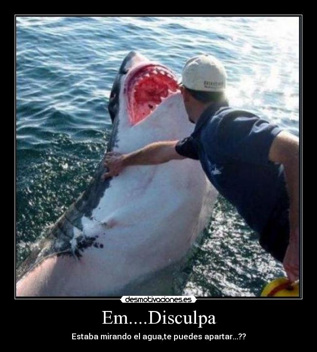 Em....Disculpa - 