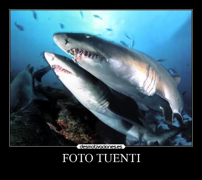 FOTO TUENTI - 