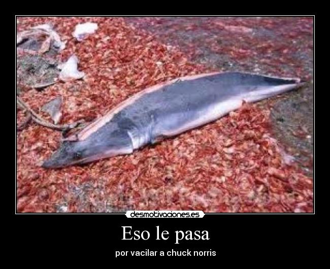 carteles guilleslamer desmotivaciones