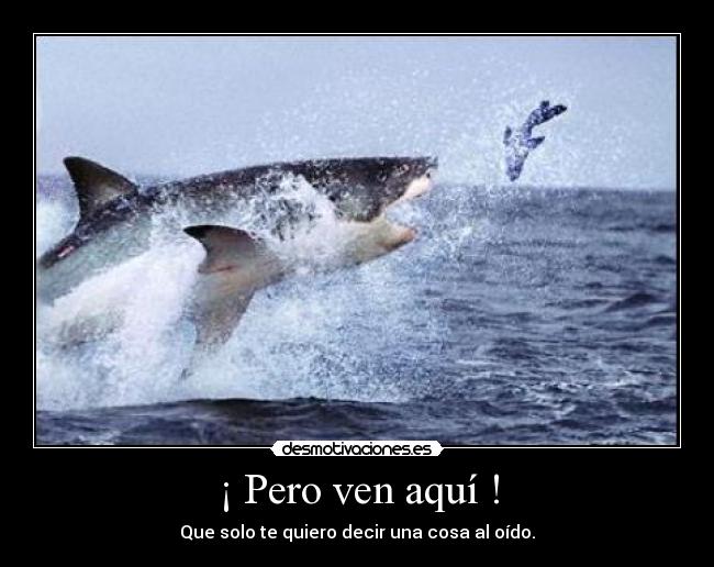 ¡ Pero ven aquí ! - Que solo te quiero decir una cosa al oído.