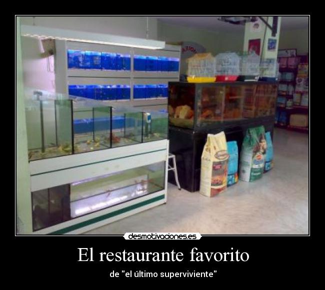 El restaurante favorito - de el último superviviente