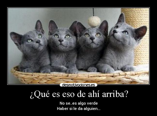 carteles que eso desmotivaciones