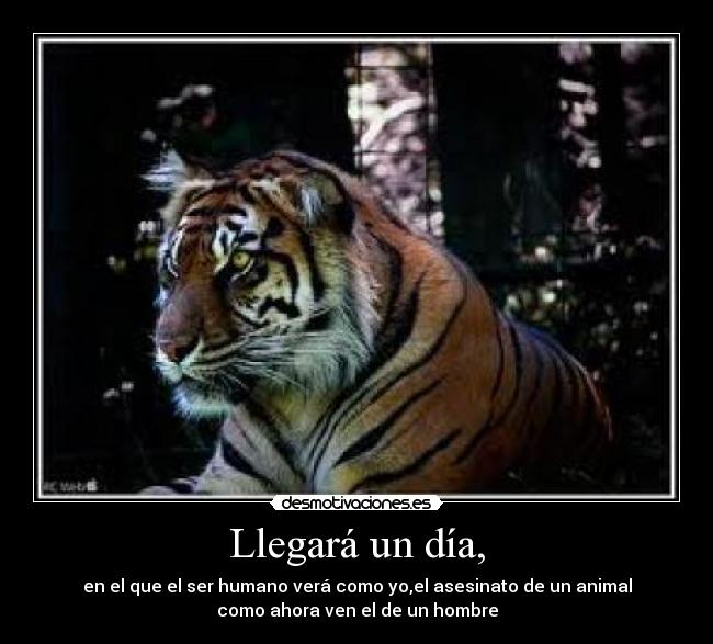Llegará un día, - en el que el ser humano verá como yo,el asesinato de un animal
como ahora ven el de un hombre