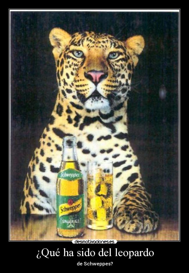 ¿Qué ha sido del leopardo -