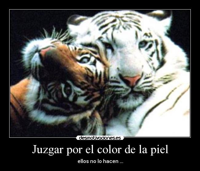 Juzgar por el color de la piel - ellos no lo hacen ...