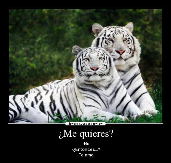 ¿Me quieres? - 