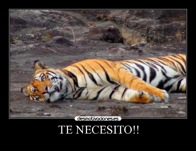 carteles erik desmotivaciones