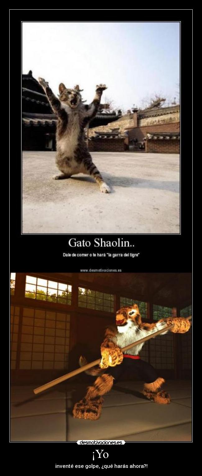 ¡Yo  - inventé ese golpe, ¿qué harás ahora?!