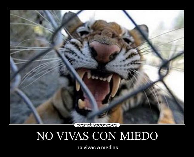 carteles miedo erikreinerramofcilikesloldarkericlatypearbor1994 desmotivaciones