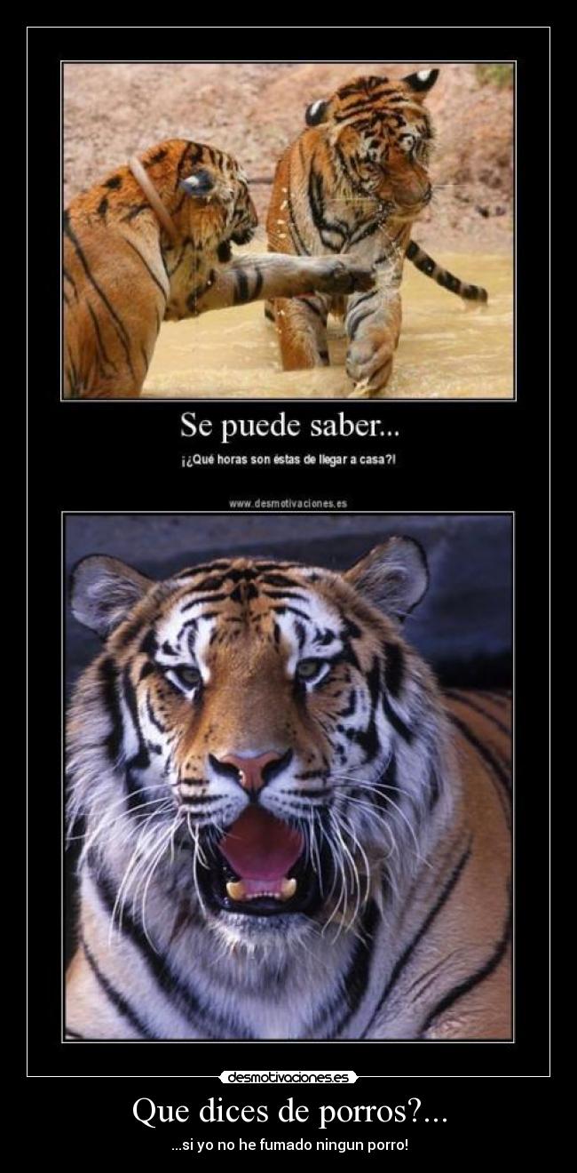 carteles porreta tigre desmotivaciones