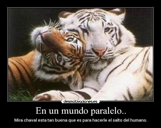 En un mundo paralelo.. - Mira chaval esta tan buena que es para hacerle el salto del humano.