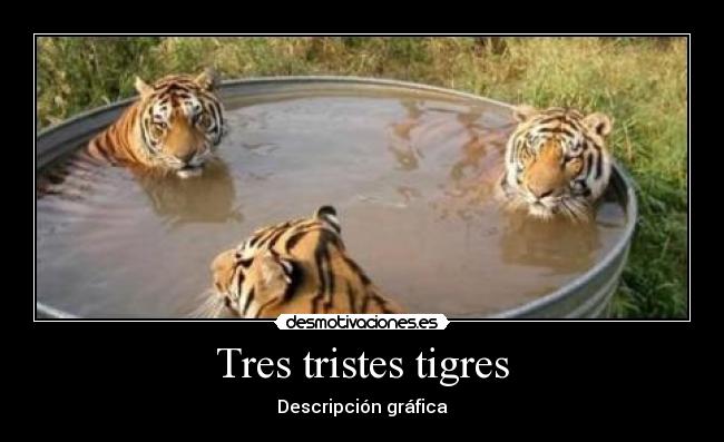 Tres tristes tigres -