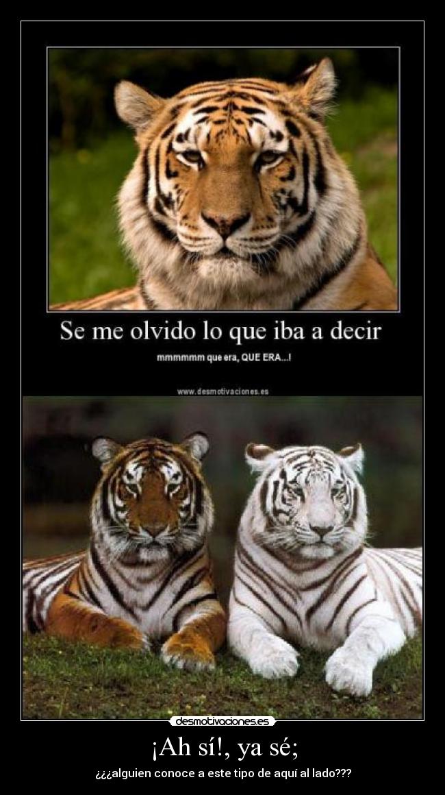 ¡Ah sí!, ya sé; - ¿¿¿alguien conoce a este tipo de aquí al lado???