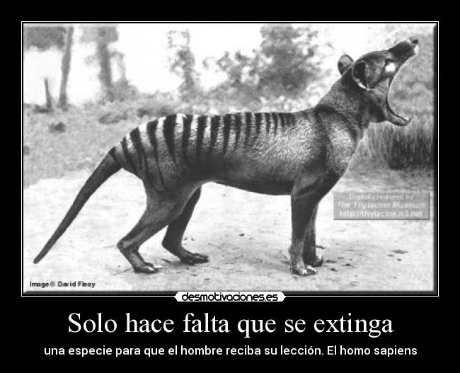 Solo hace falta que se extinga - una especie para que el hombre reciba su lección. El homo sapiens