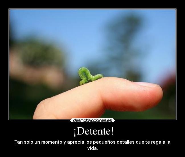 ¡Detente! - Tan solo un momento y aprecia los pequeños detalles que te regala la vida.