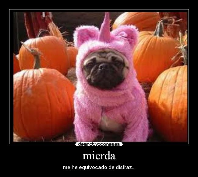 mierda - me he equivocado de disfraz...