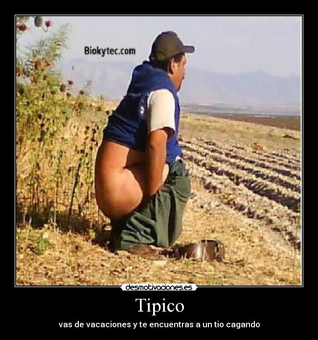 Tipico - 