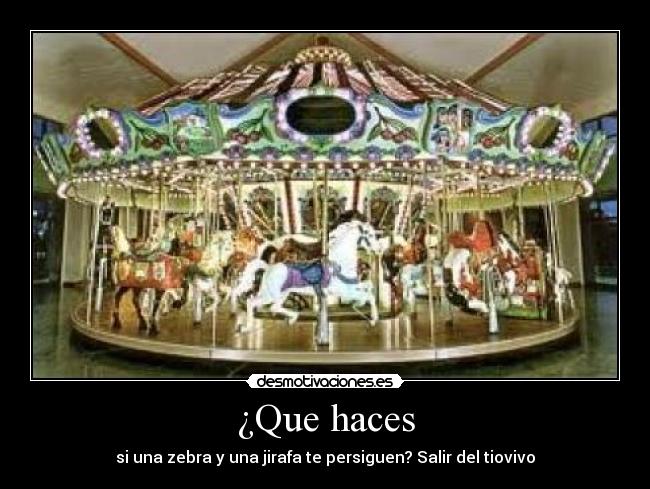 ¿Que haces - si una zebra y una jirafa te persiguen? Salir del tiovivo