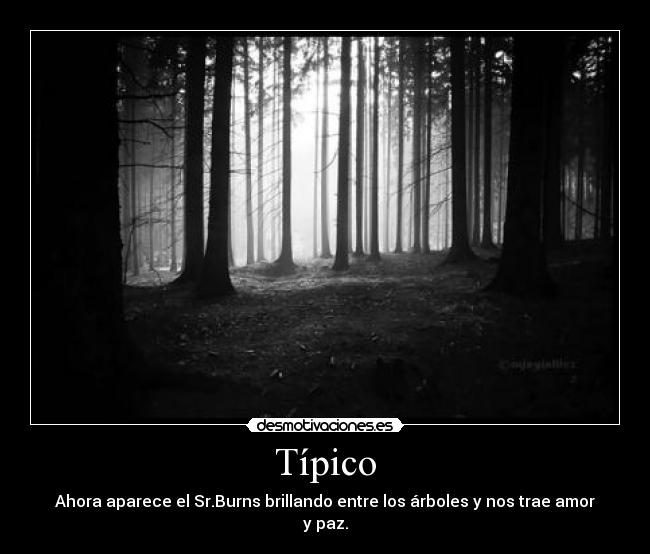 Típico - 