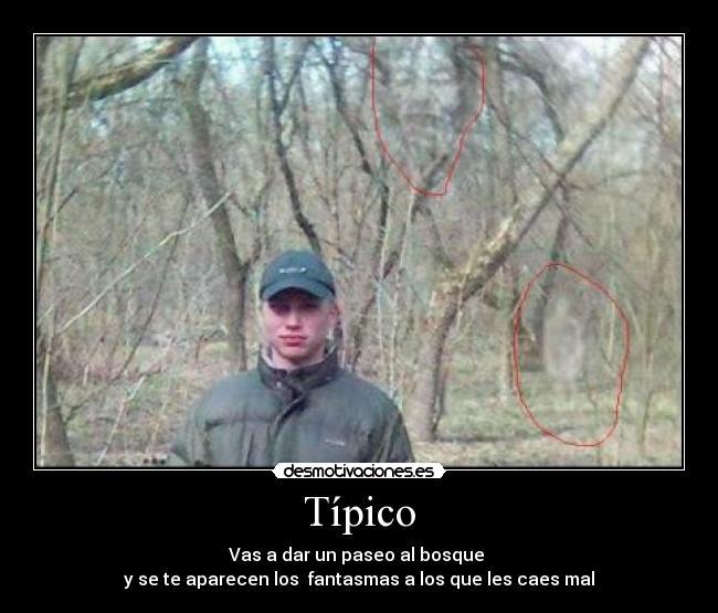 Típico - Vas a dar un paseo al bosque
y se te aparecen los fantasmas a los que les caes mal