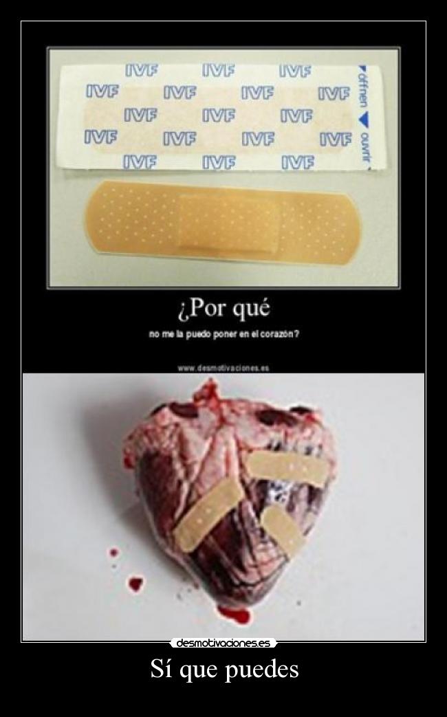 Sí que puedes - 