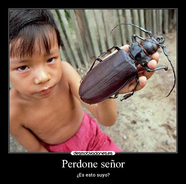 Perdone señor - ¿Es esto suyo?