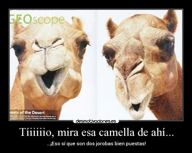 Tíiiiiio, mira esa camella de ahí... -