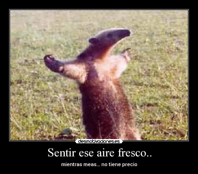 Sentir ese aire fresco.. -