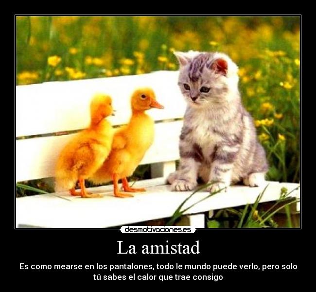 La amistad - Es como mearse en los pantalones, todo le mundo puede verlo, pero solo
tú sabes el calor que trae consigo