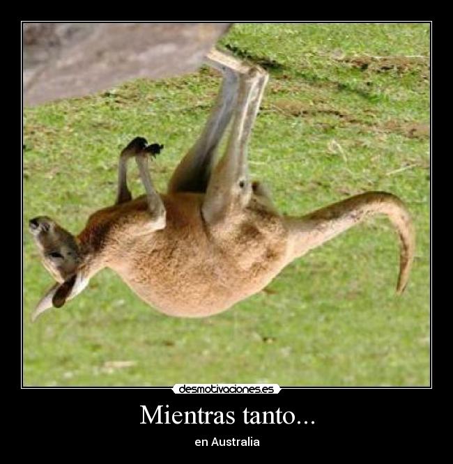 Mientras tanto... - en Australia