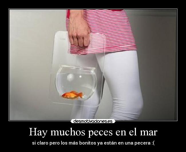 carteles ropi desmotivaciones